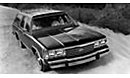 Ford LTD Country Squire 1991 en Monterrey